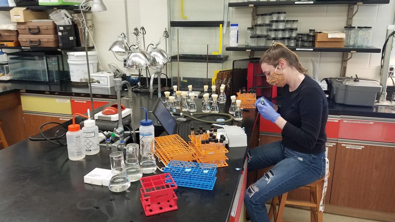 学生在实验台上为实验准备细菌培养